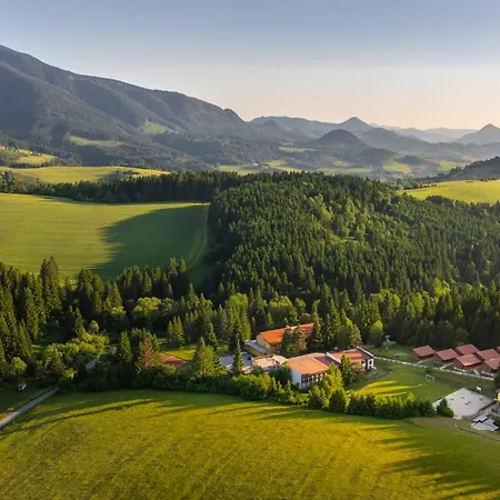 Orava -