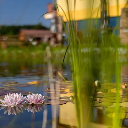 Orava - דולני קובין