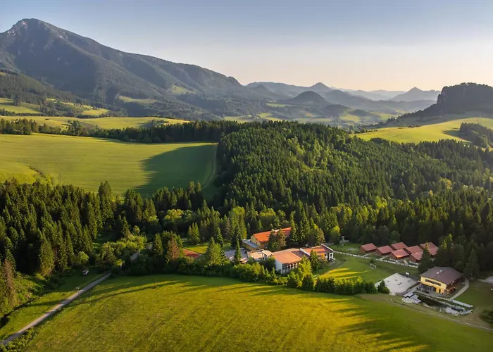 Orava -