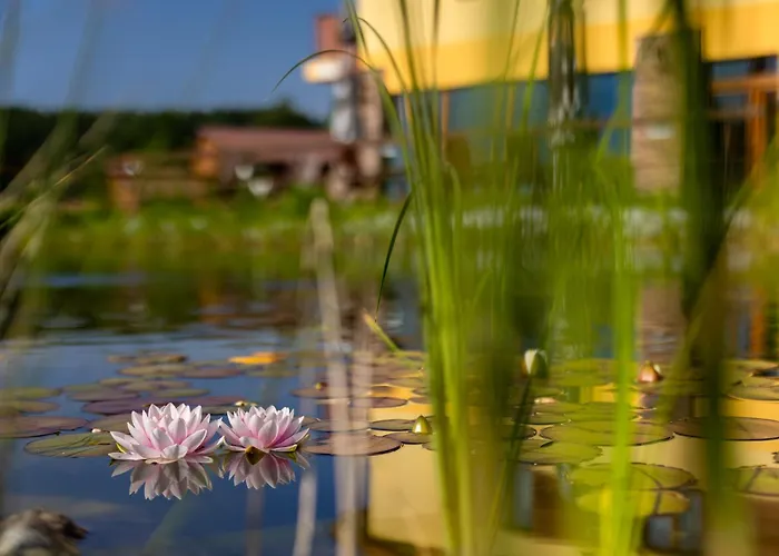 Orava - Дольни-Кубин